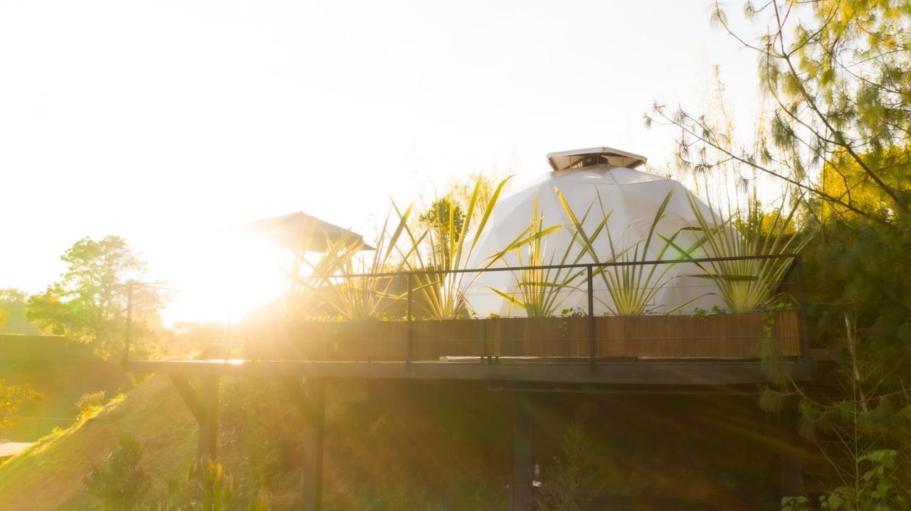 Hotel Domus Glamping Guatapé Extérieur photo